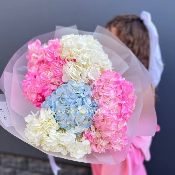 7 гортензий микс в Тюмени