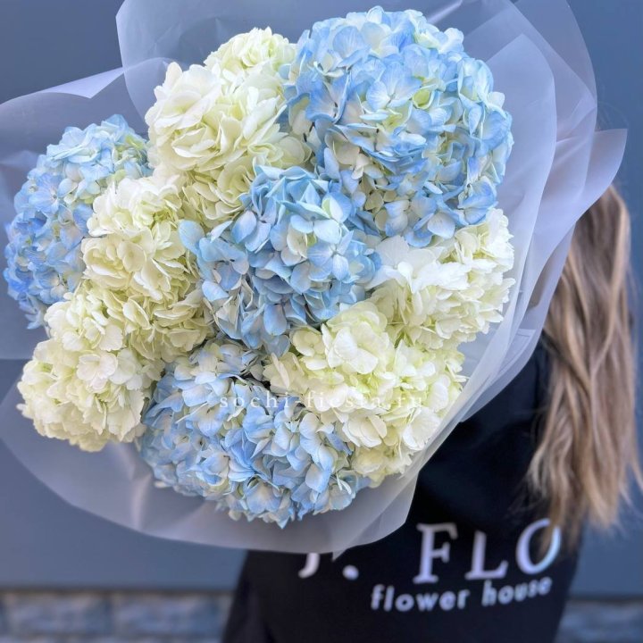 9 бело-голубых гортензий в Тюмени