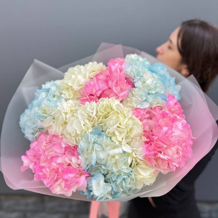9 гортензий микс в Тюмени
