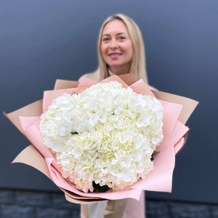 Гортензия белая в Тюмени