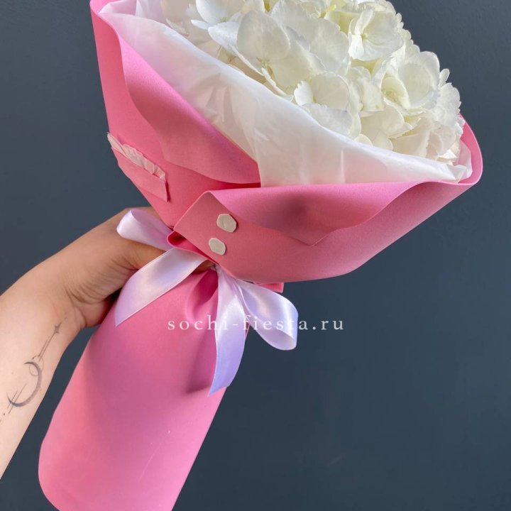 Гортензия в розовом пиджаке в Тюмени