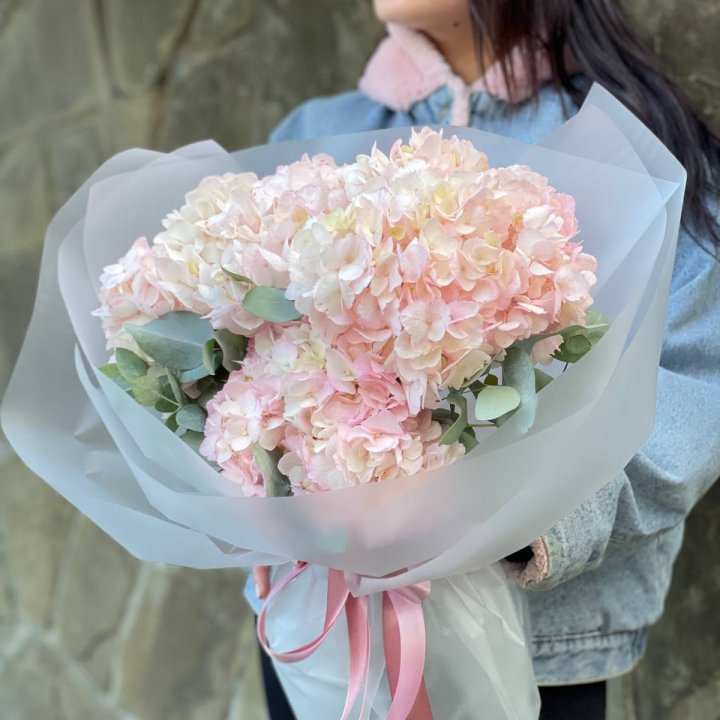 5 розовых гортензий в Тюмени