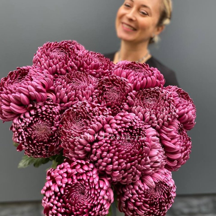 Охапка хризантем Бигуди в Тюмени