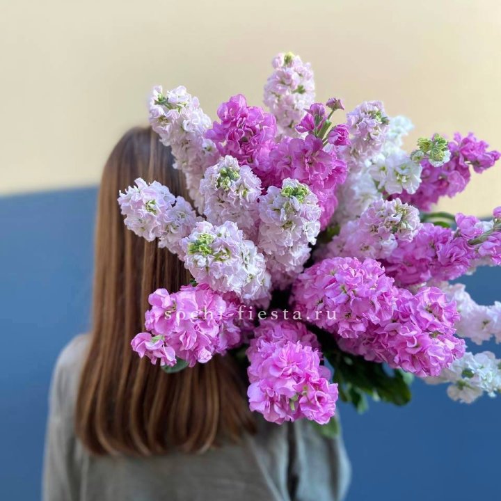 Охапка маттиолы в Тюмени