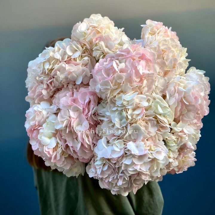 Охапка розовой гортензии в Тюмени