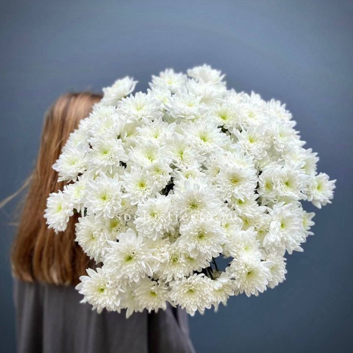 Охапка Хризантемы кустовой в Тюмени