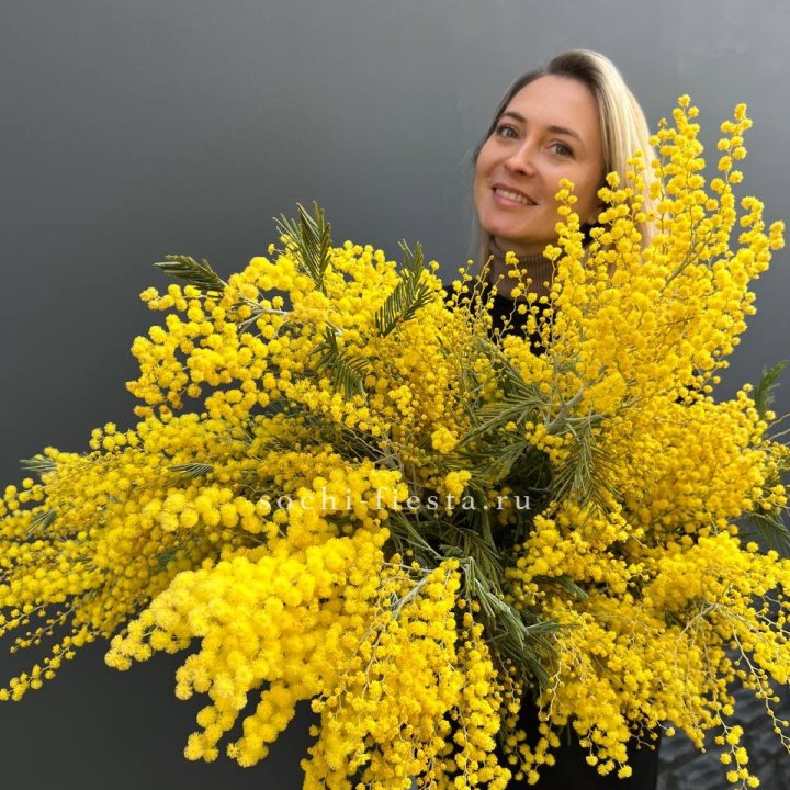 Охапка мимозы №2 в Тюмени