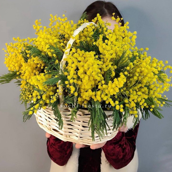Корзина ароматной мимозы в Тюмени