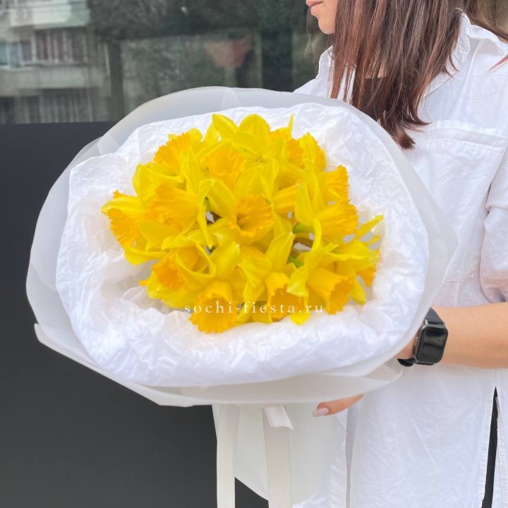 Нарциссы 25 шт в Тюмени