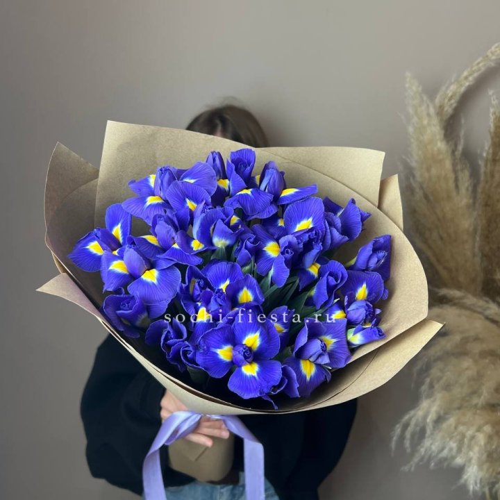 Ирисы в Тюмени