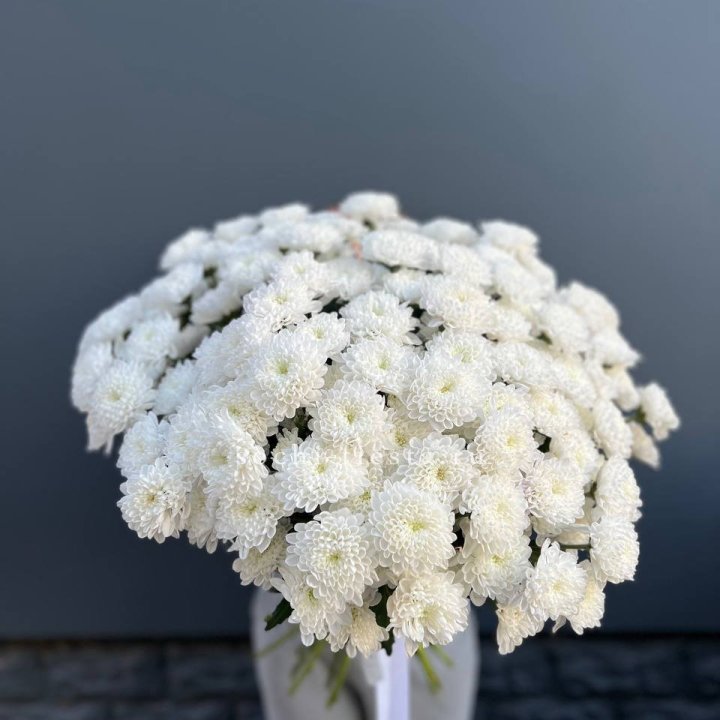  25 хризантем белых в Тюмени