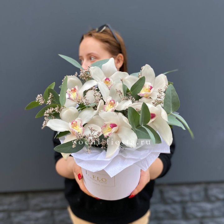 7 орхидей в боксе в Тюмени