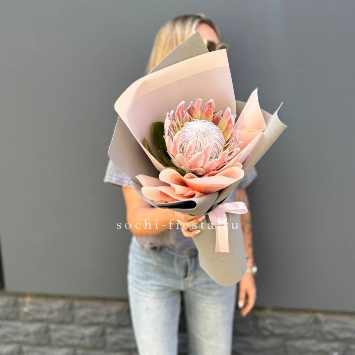 Протея мини  в Тюмени