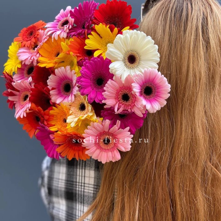 Охапка гербер  в Тюмени