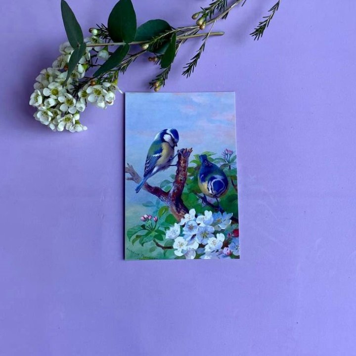 Открытка к букету "Птицы" в Тюмени