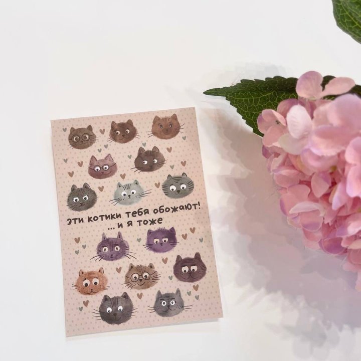 Открытка к букету "Котики" в Тюмени