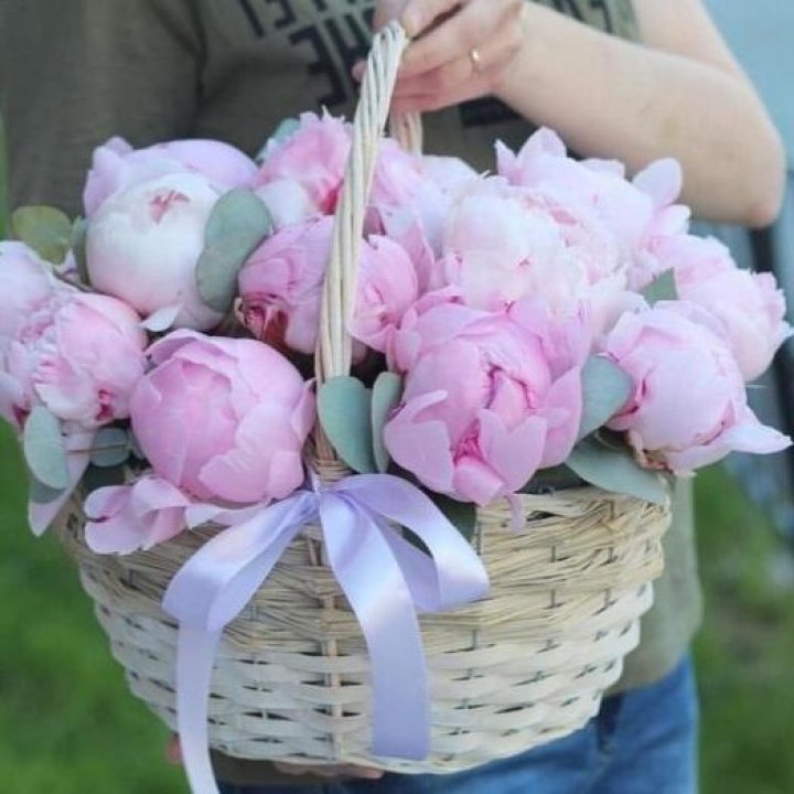 15 пионов в корзине в Тюмени