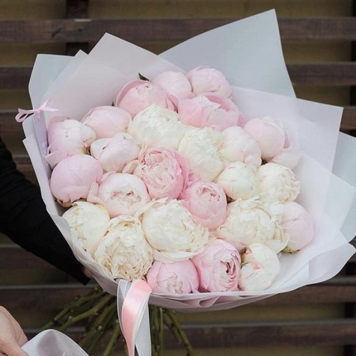 29 пионов в Тюмени