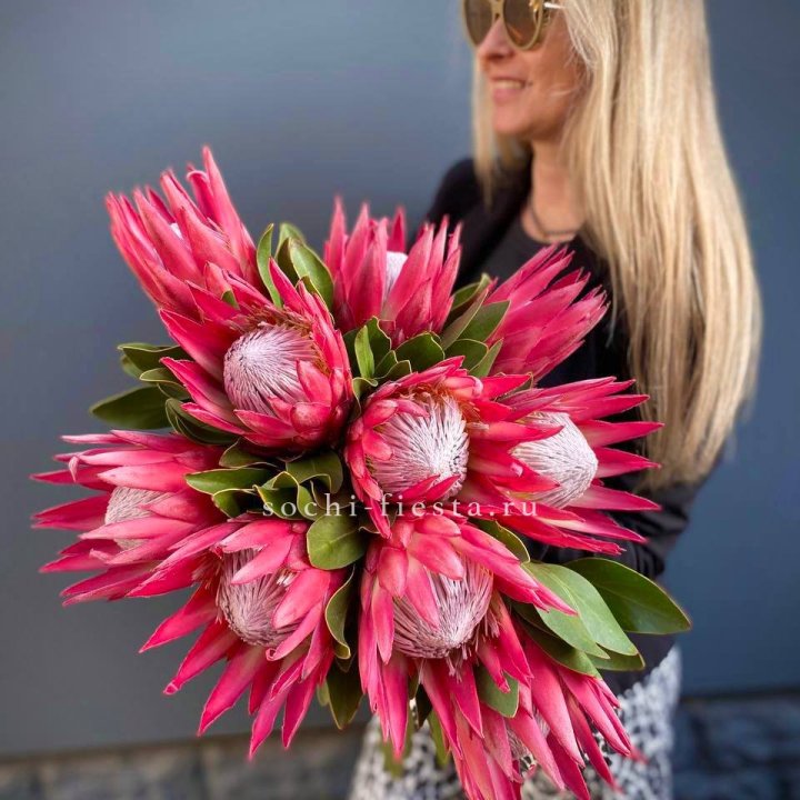 Протея штучно в Тюмени