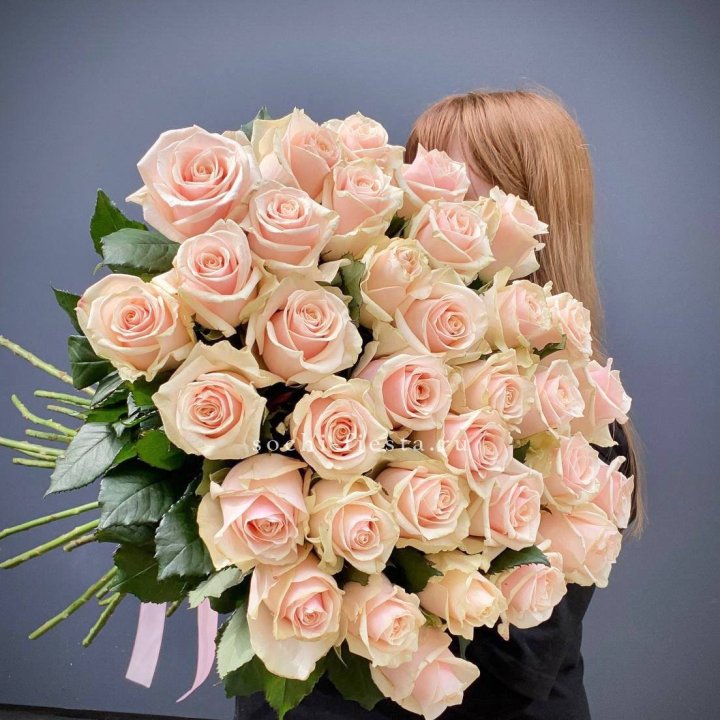 35 кремовых высоких роз в Тюмени