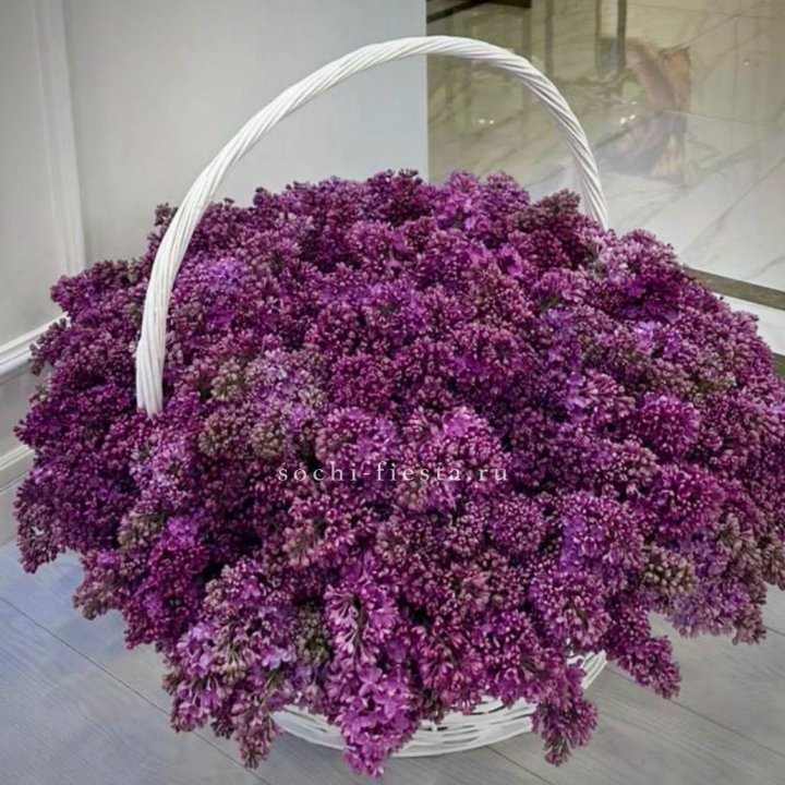 Корзина сирени в Тюмени