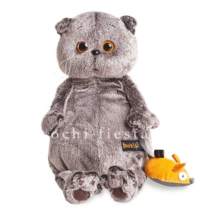 Кот Басик с мышкой в Тюмени