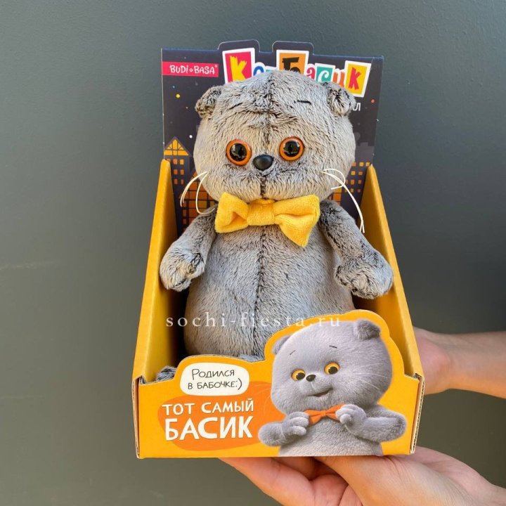 Кот Басик с бабочкой в Тюмени