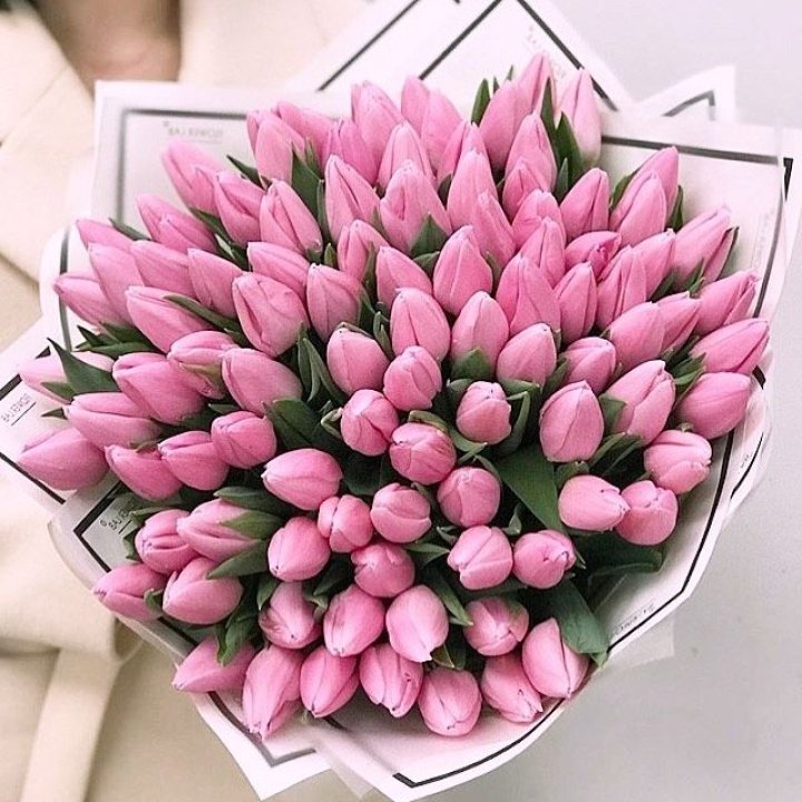 101 розовый тюльпан в белом в Тюмени