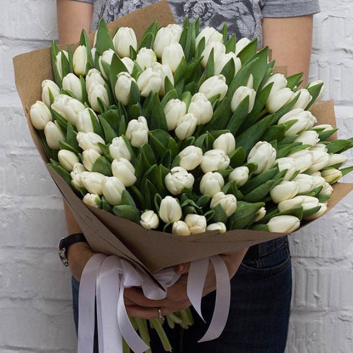 101 тюльпан сноу в Тюмени