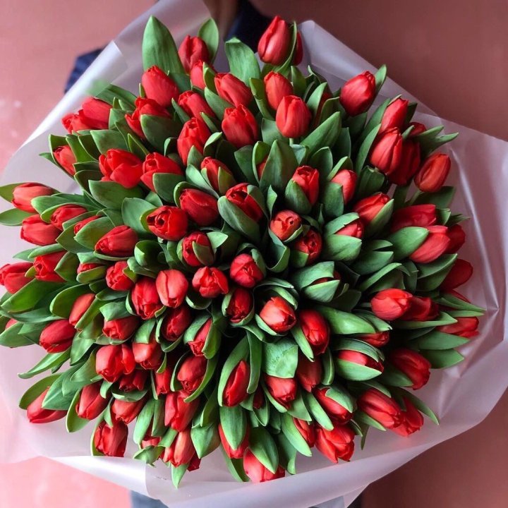 101 красный тюльпан в Тюмени